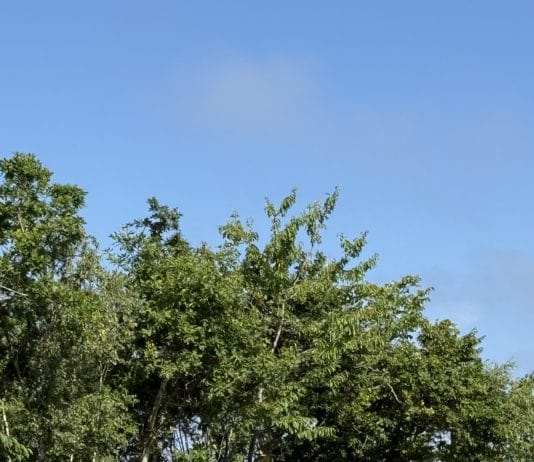 Rowerem wokół Bornholmu – trasa, którą warto przejechać